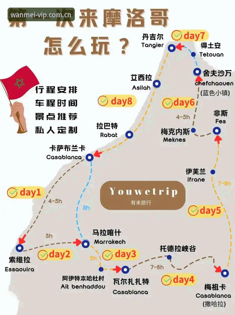 完美体育平台深度评测：从下载到看比分，一篇搞懂全流程
